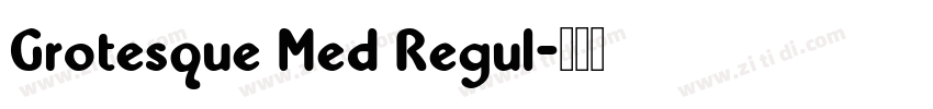 Grotesque Med Regul字体转换